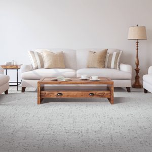 Living room Carpet | Price Flooring