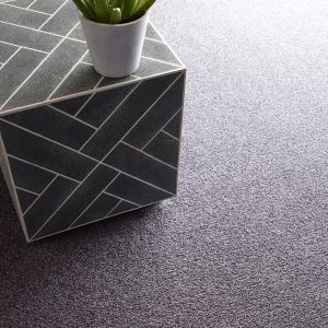 Carpet flooring | Price Flooring