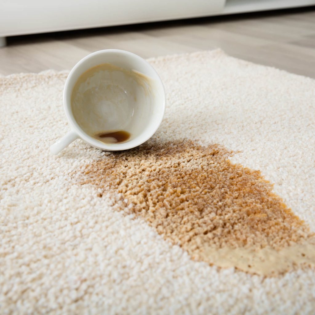 Professional Rug Cleaning | Price Flooring