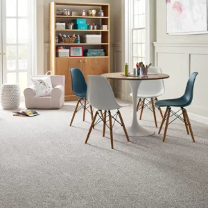 Kids playroom Carpet | Price Flooring