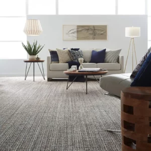 Carpet in a modern living room | Price Flooring