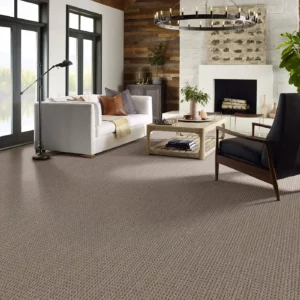 Carpet in a sitting room | Price Flooring